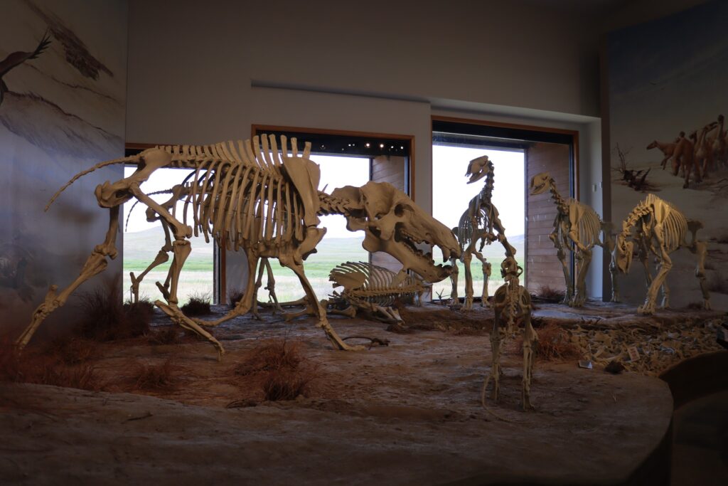 Agate Fossil Beds-Photography by CM Sears