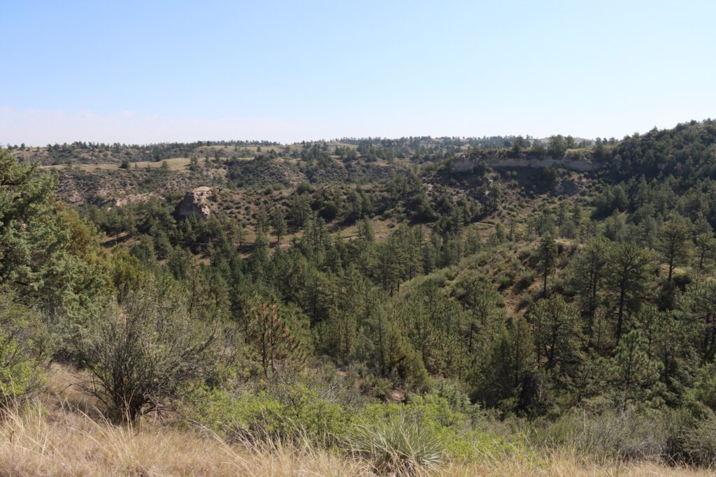 Wildcat Hills Nature Center, Nebraska August 2024