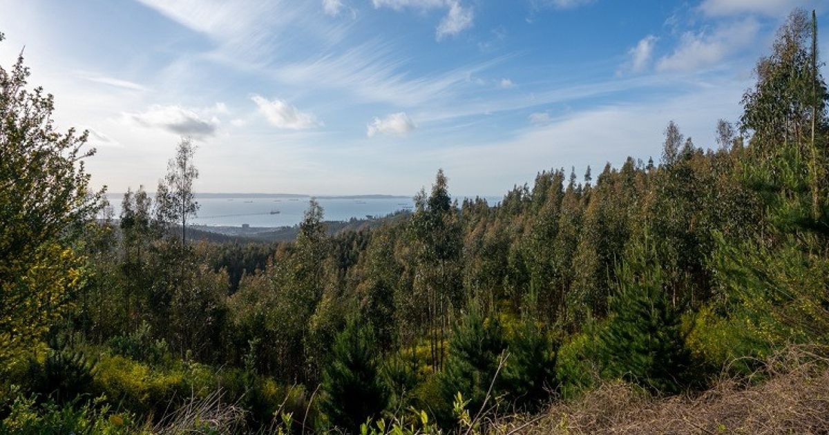 Aclara Resources Inc.